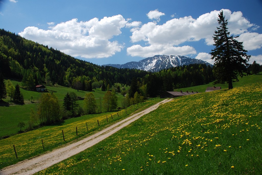 12.05.2008 - Schneebergblick