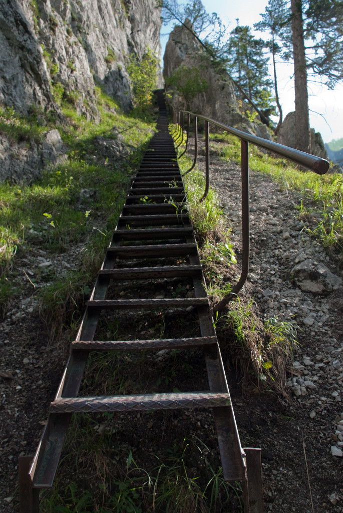 16.06.2010 - Schönbrunnerstiege