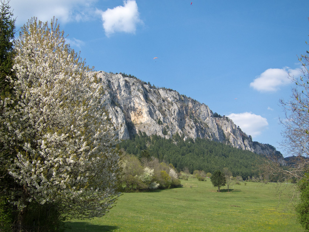 17.4.2011 - Frühling