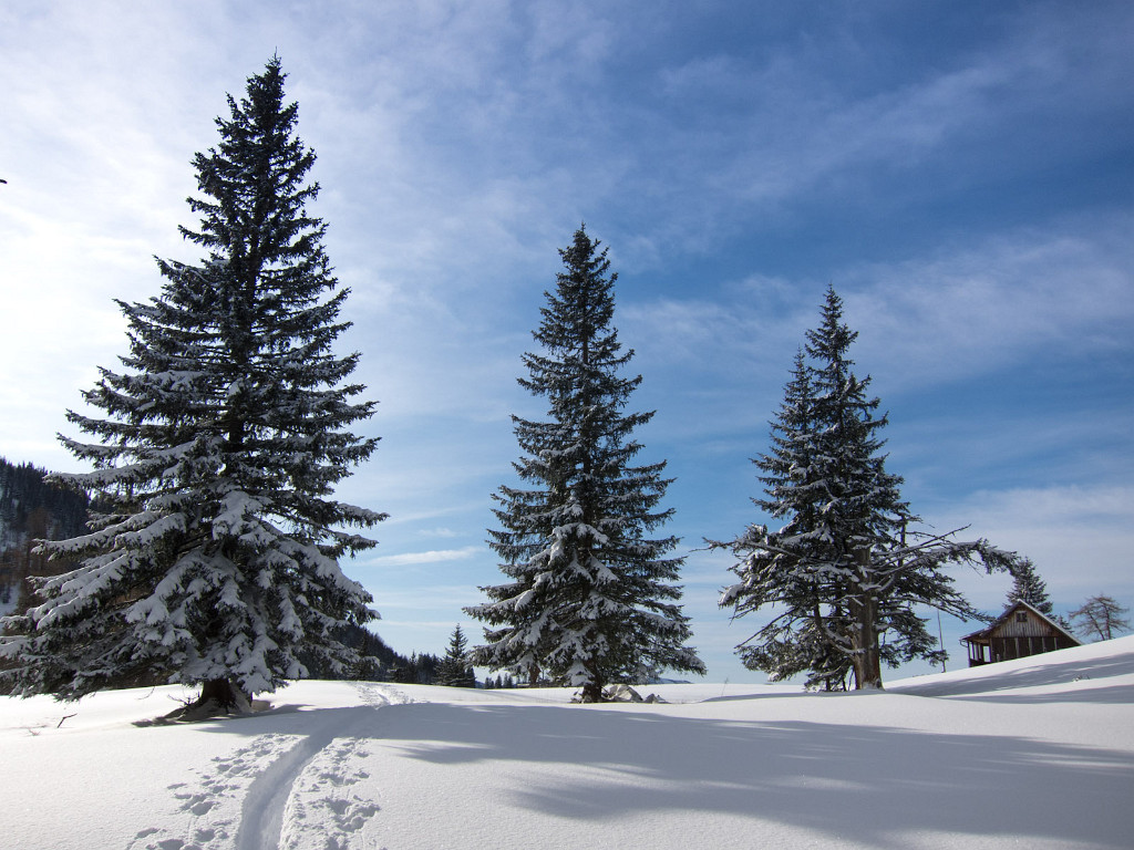 02.01.2012 - Winterlandschaft