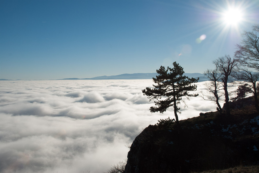 15.03.2014 - Hohe Wand