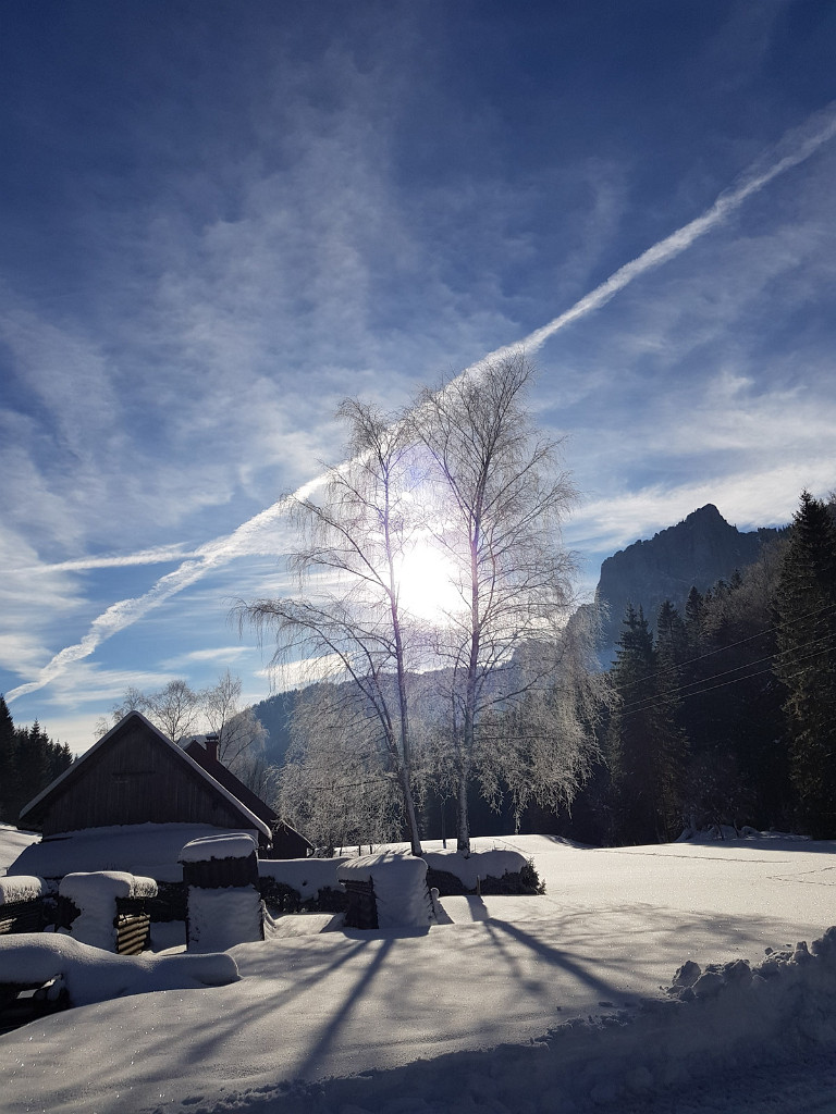 27.01.2018 - Zum Buchalpengraben