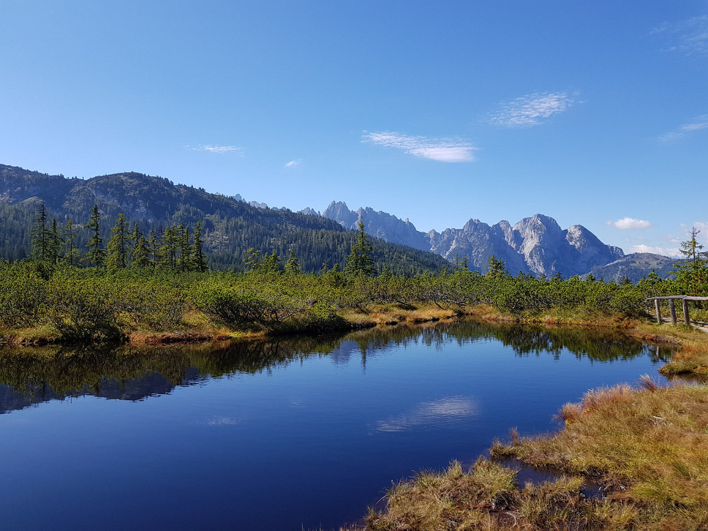 10.09.2018 - Löckenmoos