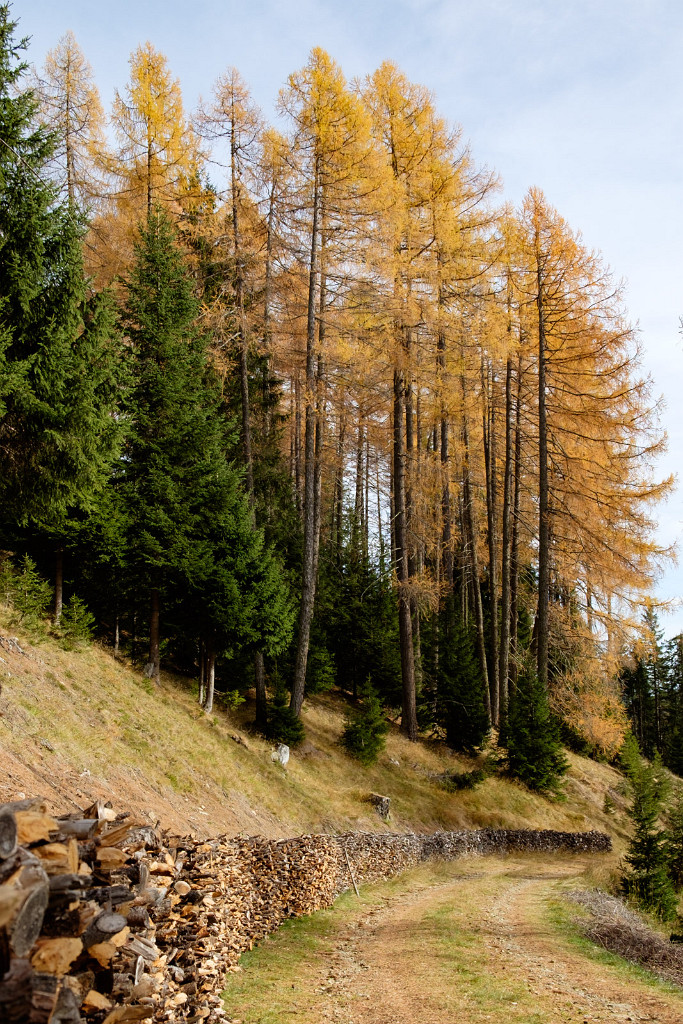 31.10.2022 - Am Holzweg