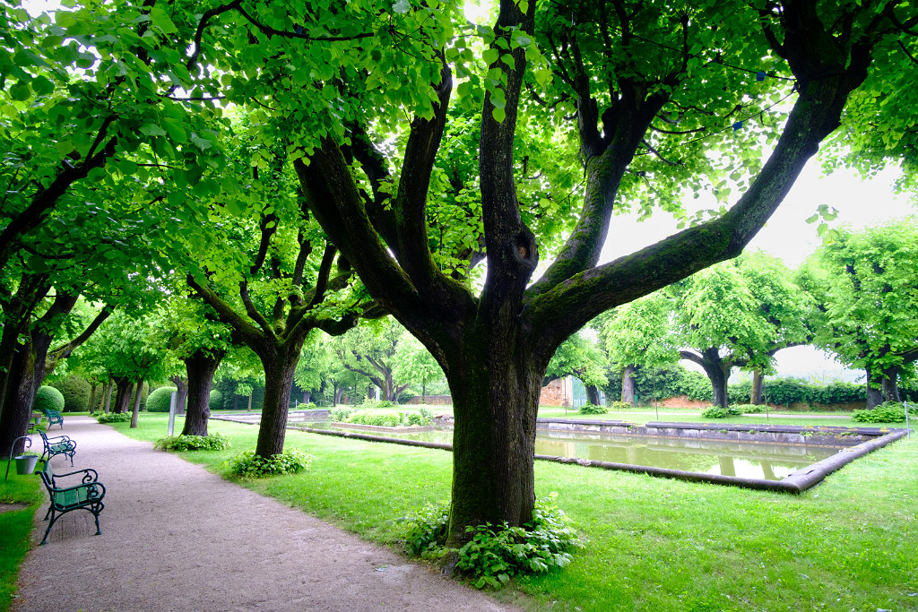 18.05.2023 - Stiftgarten Melk