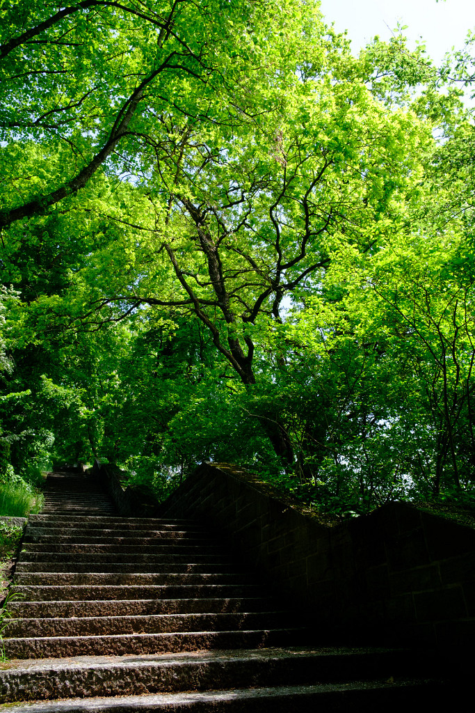 20.05.2023 - Stairway to ... Maria Taferl