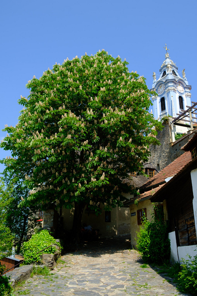 21.05.2023 - Dürnstein