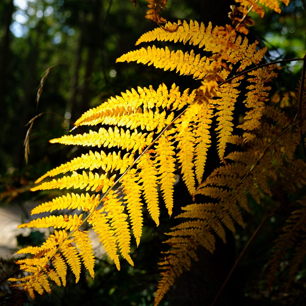 14.10.2023 - Herbst