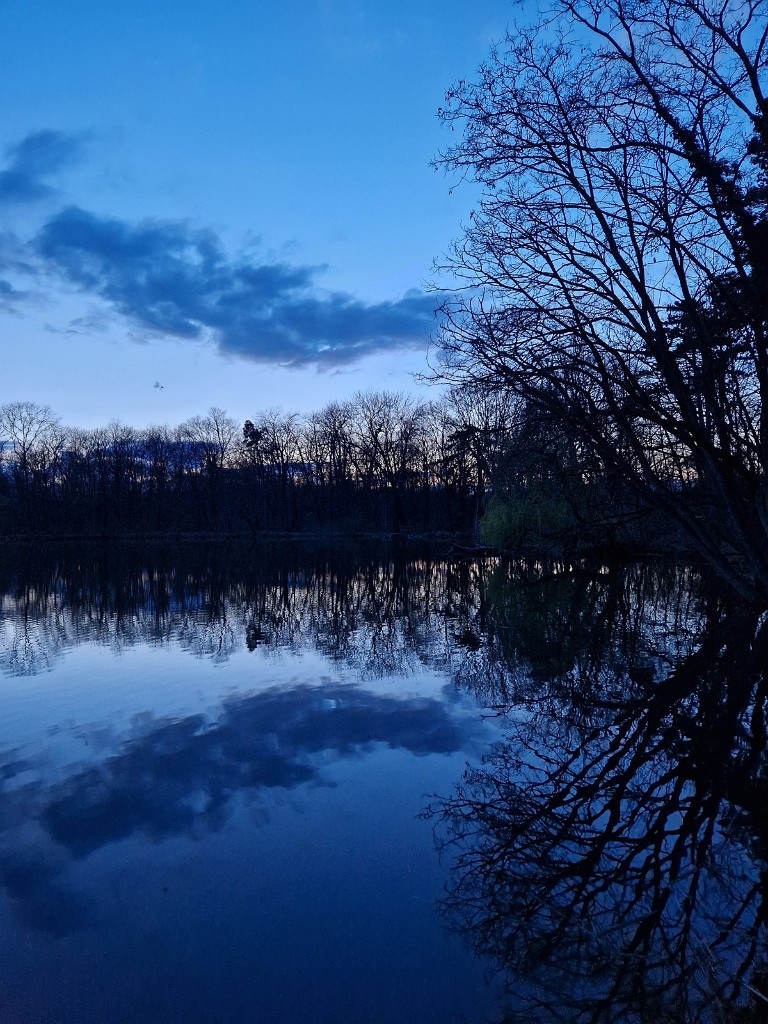 13.03.2024 - Abend im Akademiepark