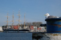 2025-04-16_DSCF8281