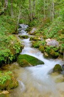 2026-09-03_DSCF2343